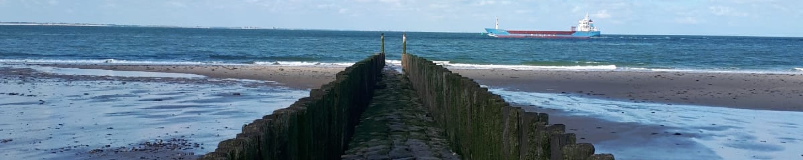 Foto van golfbrekers op strand Westerschelde in Zeeland